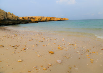 oman-baden-fins-beach-sand-muscheln