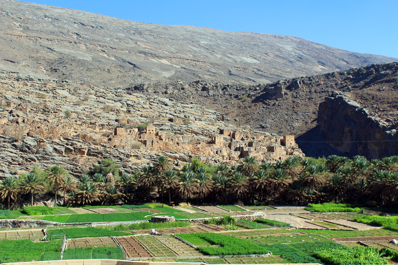 oman-reise-wadi-grand-canyon-hajar